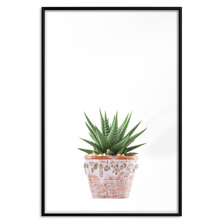 Wall Poster Succulents in Pot - composition with green leaves on a solid background 116653 additionalImage 15