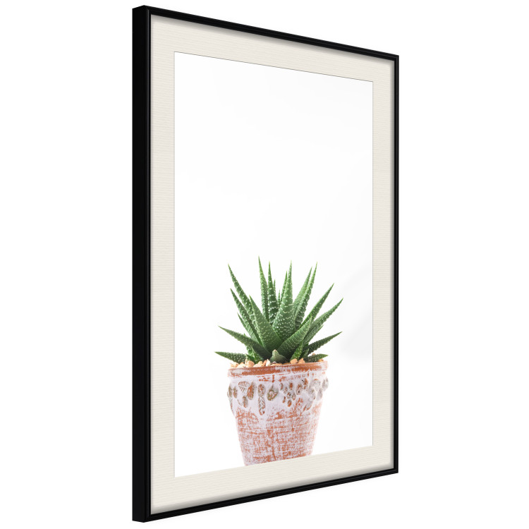 Wall Poster Succulents in Pot - composition with green leaves on a solid background 116653 additionalImage 3