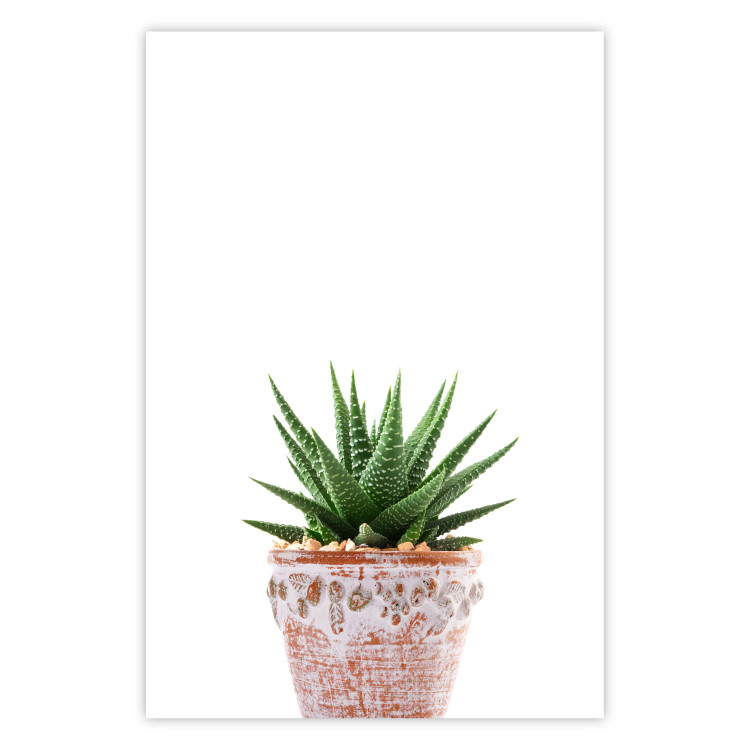 Wall Poster Succulents in Pot - composition with green leaves on a solid background 116653