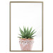 Wall Poster Succulents in Pot - composition with green leaves on a solid background 116653 additionalThumb 20
