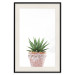 Wall Poster Succulents in Pot - composition with green leaves on a solid background 116653 additionalThumb 18