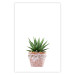 Wall Poster Succulents in Pot - composition with green leaves on a solid background 116653 additionalThumb 25