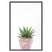 Wall Poster Succulents in Pot - composition with green leaves on a solid background 116653 additionalThumb 18