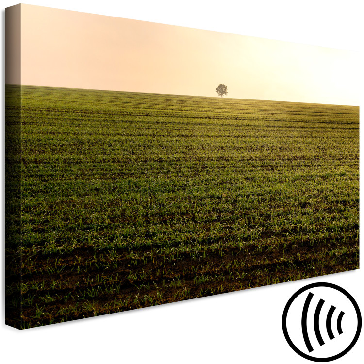 Canvas Print Endless fields - a minimalist landscape with a tree in the morning 116953 additionalImage 6