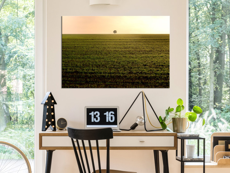 Canvas Print Endless fields - a minimalist landscape with a tree in the morning 116953 additionalImage 3