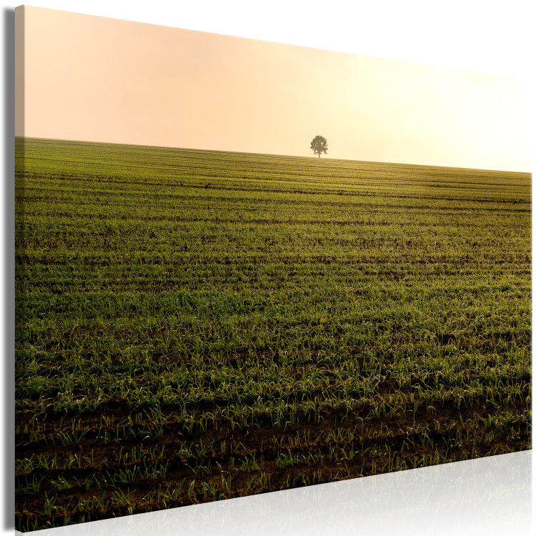 Canvas Print Endless fields - a minimalist landscape with a tree in the morning 116953 additionalImage 2