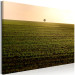 Canvas Print Endless fields - a minimalist landscape with a tree in the morning 116953 additionalThumb 2