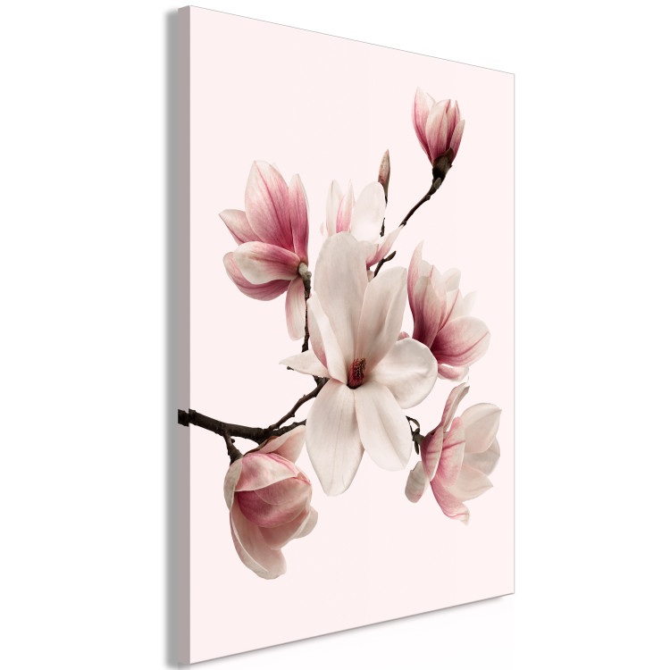 Canvas Art Print Spring Greeting (1-part) - Magnolia Flower in Delicate Hue 117153 additionalImage 2