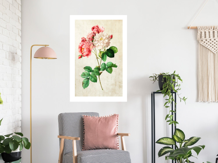 Poster Celestial Rose - colorful composition with flowers on a background of beige stripes 117353 additionalImage 2