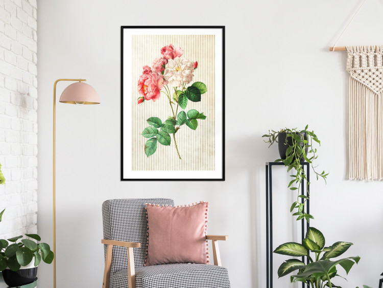 Poster Celestial Rose - colorful composition with flowers on a background of beige stripes 117353 additionalImage 4