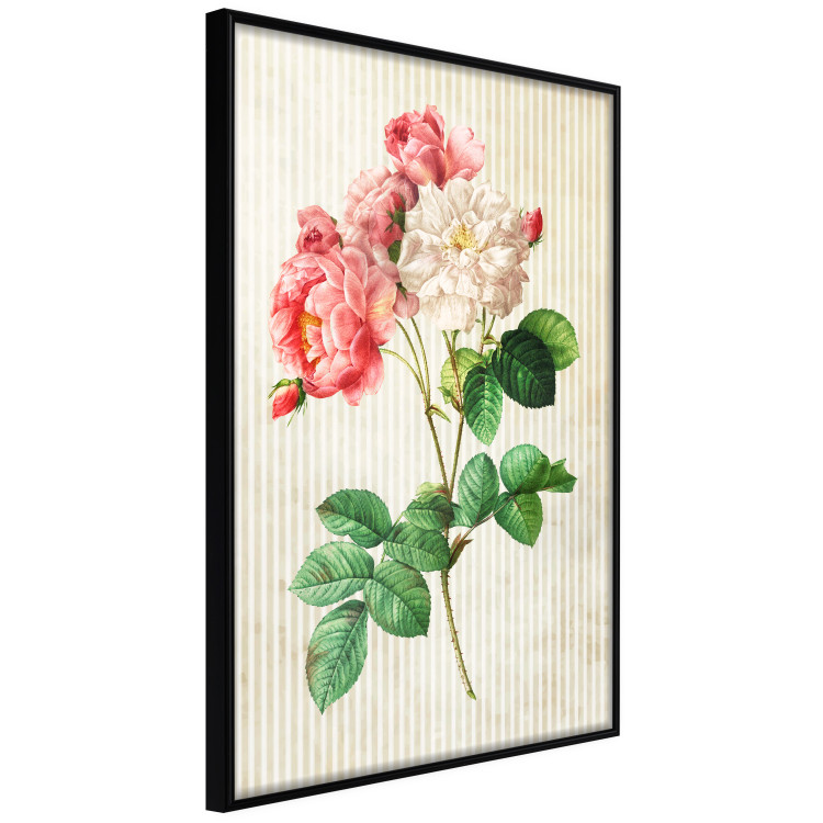 Wall gallery Vintage Roses 124797 additionalImage 4
