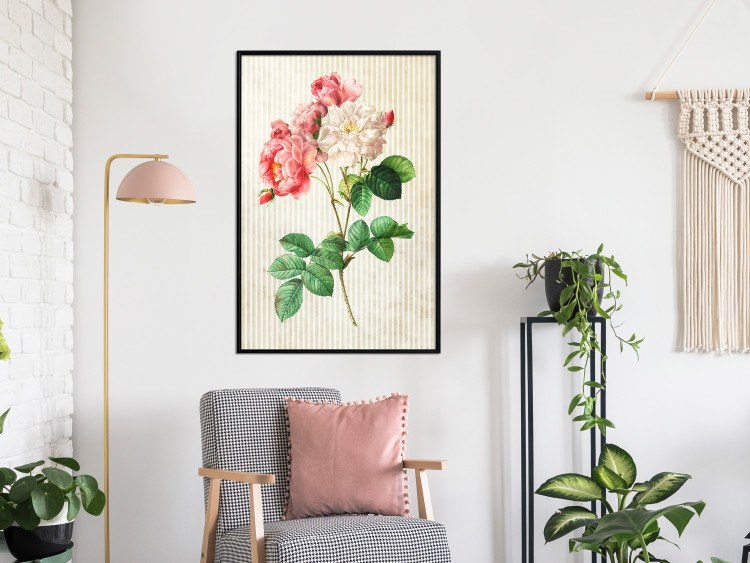 Poster Celestial Rose - colorful composition with flowers on a background of beige stripes 117353 additionalImage 3