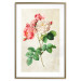 Poster Celestial Rose - colorful composition with flowers on a background of beige stripes 117353 additionalThumb 16
