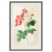 Poster Celestial Rose - colorful composition with flowers on a background of beige stripes 117353 additionalThumb 18
