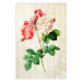 Poster Celestial Rose - colorful composition with flowers on a background of beige stripes 117353