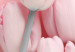 Canvas Six Tulips (1 Part) Vertical 117853 additionalThumb 5