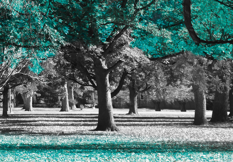 Canvas Autumn in the Park (1 Part) Wide Turquoise 122753 additionalImage 4