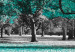 Canvas Autumn in the Park (1 Part) Wide Turquoise 122753 additionalThumb 4