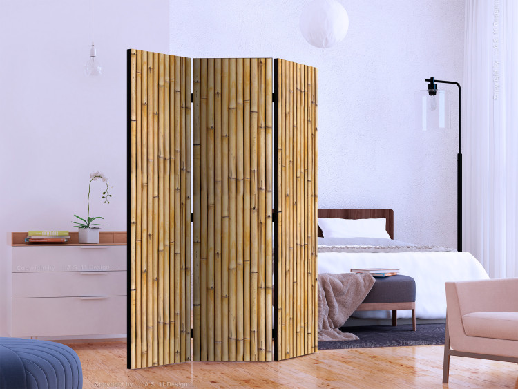 Room Divider Screen Amazonian Wall (3-piece) - brown pattern with a botanical motif 124153 additionalImage 2