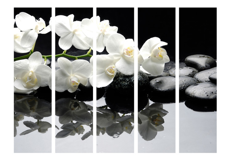 Folding Screen Stones and Orchid II (5-piece) - white flowers on a black background 124253 additionalImage 3