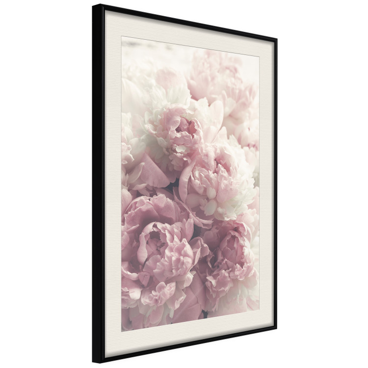 Wall Poster Delicate Peonies - landscape of a field with white and pink flowers 125753 additionalImage 3