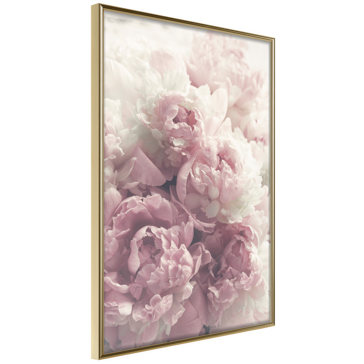 Wall Poster Delicate Peonies - landscape of a field with white and pink flowers 125753 additionalImage 12
