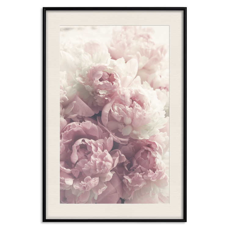 Wall Poster Delicate Peonies - landscape of a field with white and pink flowers 125753 additionalImage 18