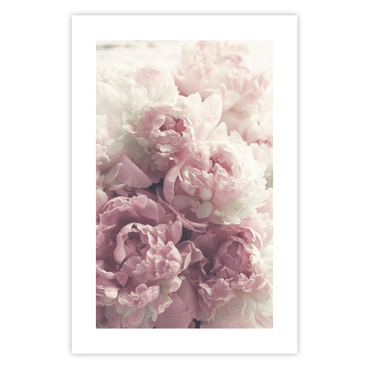 Wall Poster Delicate Peonies - landscape of a field with white and pink flowers 125753 additionalImage 25