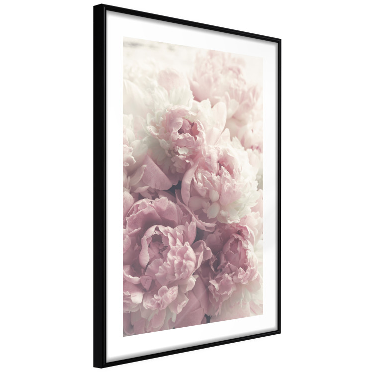 Wall Poster Delicate Peonies - landscape of a field with white and pink flowers 125753 additionalImage 11