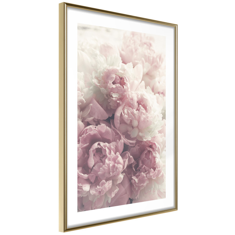 Wall Poster Delicate Peonies - landscape of a field with white and pink flowers 125753 additionalImage 8