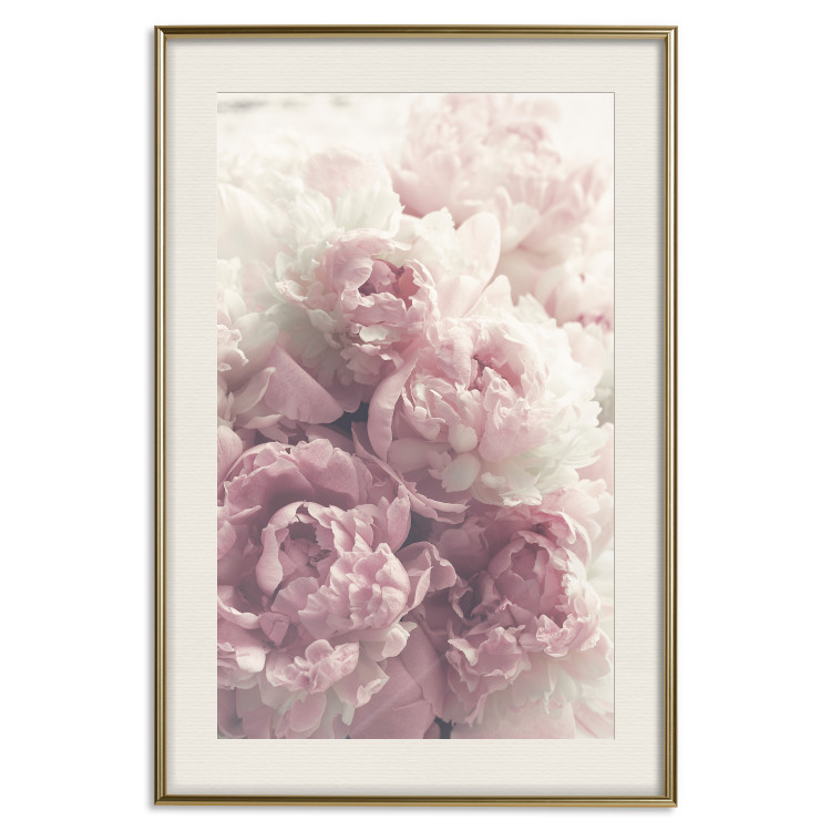Wall Poster Delicate Peonies - landscape of a field with white and pink flowers 125753 additionalImage 19