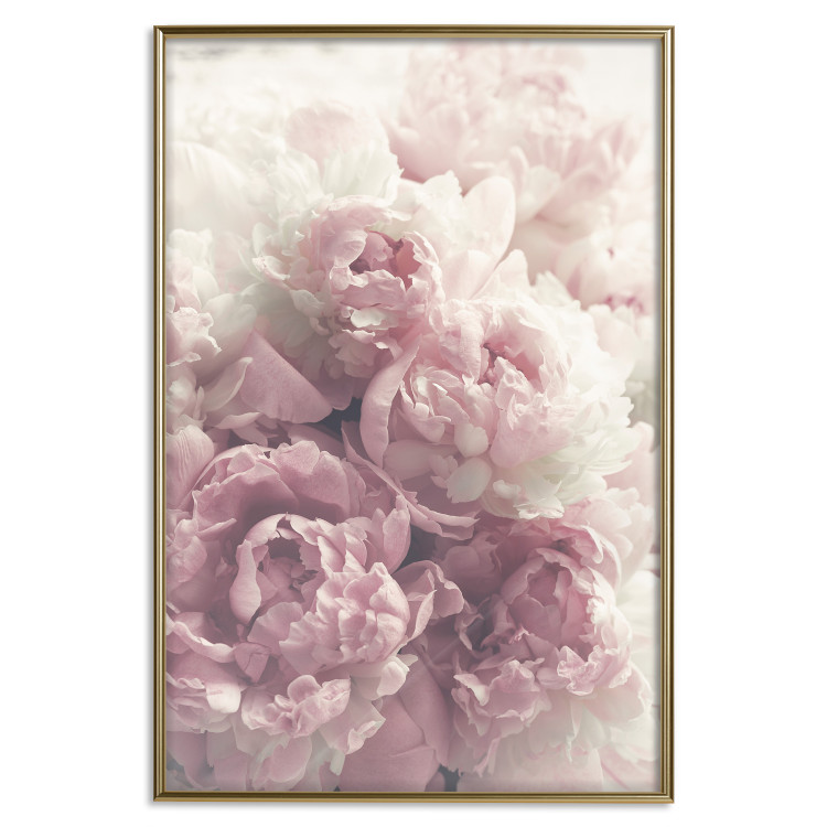 Wall Poster Delicate Peonies - landscape of a field with white and pink flowers 125753 additionalImage 20