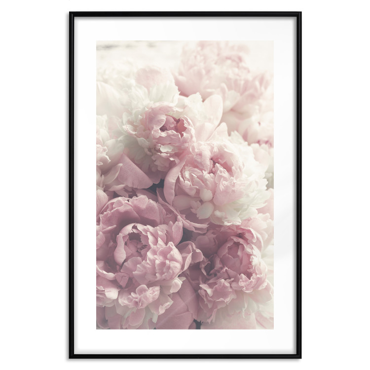 Wall Poster Delicate Peonies - landscape of a field with white and pink flowers 125753 additionalImage 17