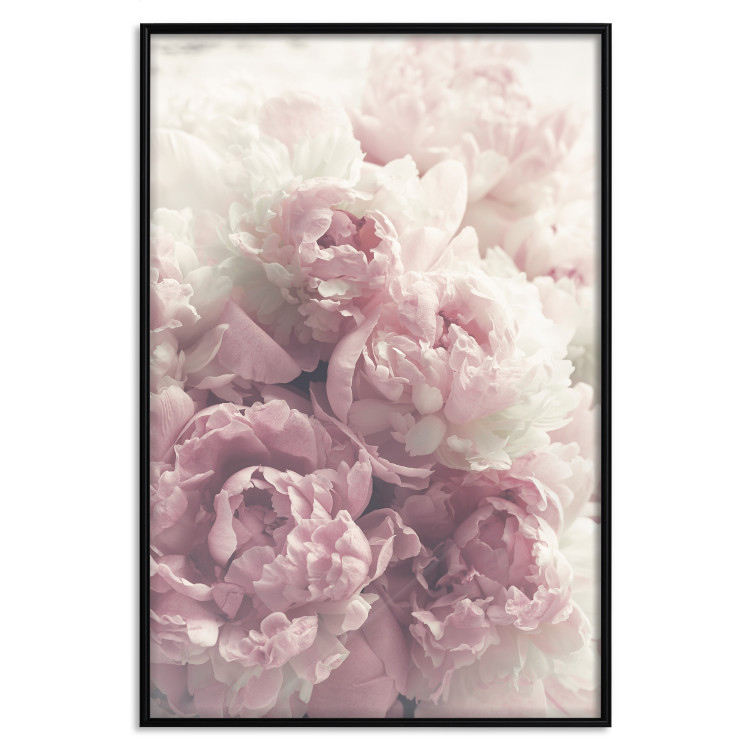 Wall Poster Delicate Peonies - landscape of a field with white and pink flowers 125753 additionalImage 24