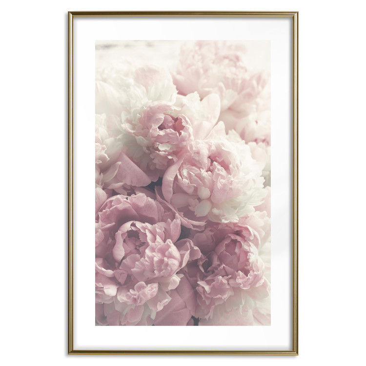 Wall Poster Delicate Peonies - landscape of a field with white and pink flowers 125753 additionalImage 16