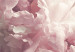 Wall Poster Delicate Peonies - landscape of a field with white and pink flowers 125753 additionalThumb 9