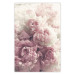 Wall Poster Delicate Peonies - landscape of a field with white and pink flowers 125753