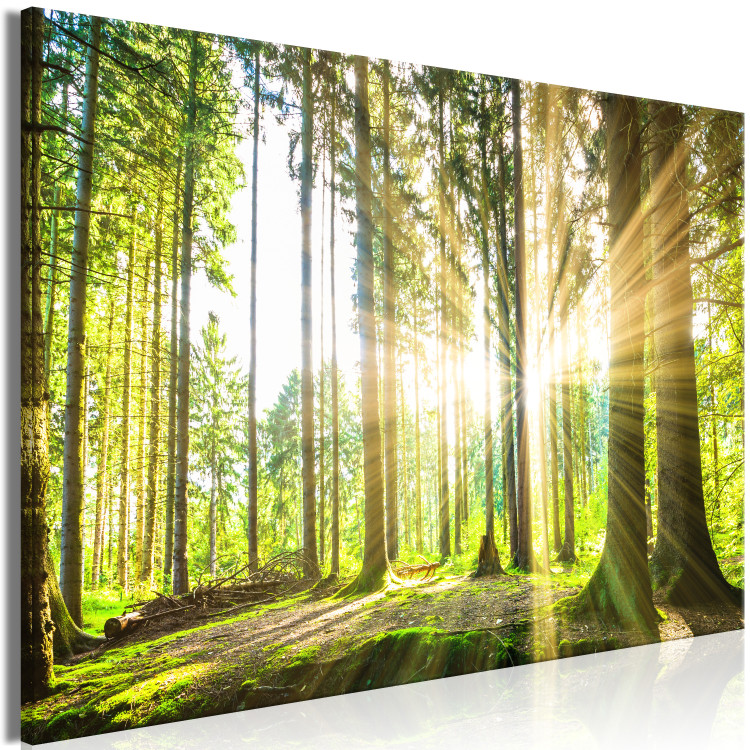 Large canvas print Sunlight [Large Format] 128553 additionalImage 2