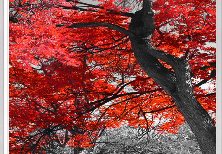 Large canvas print Red Maple II [Large Format] 128753 additionalImage 3