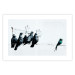 Poster Xenophobic Pigeons - black birds holding signs with slogans 132453 additionalThumb 19