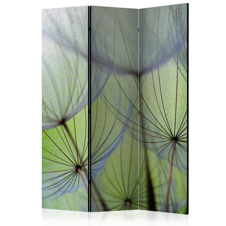 Room Separator Fleeting Moments - whimsical dandelion flowers on a light green background 133853