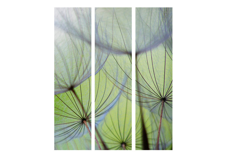 Room Separator Fleeting Moments - whimsical dandelion flowers on a light green background 133853 additionalImage 3