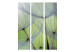 Room Separator Fleeting Moments - whimsical dandelion flowers on a light green background 133853 additionalThumb 3