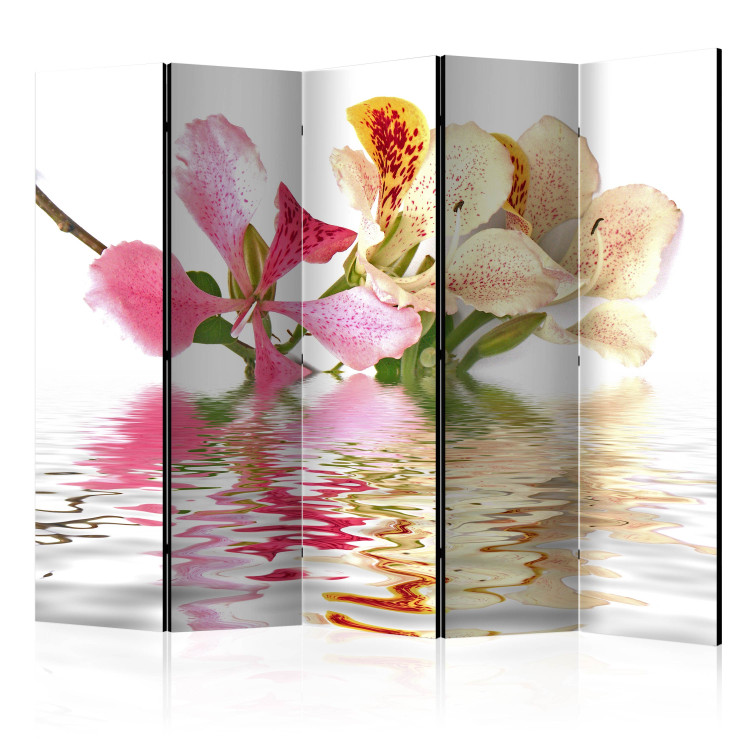Room Divider Tropical Flowers - Orchid Tree (Bauhinia) II - plants and water 134053