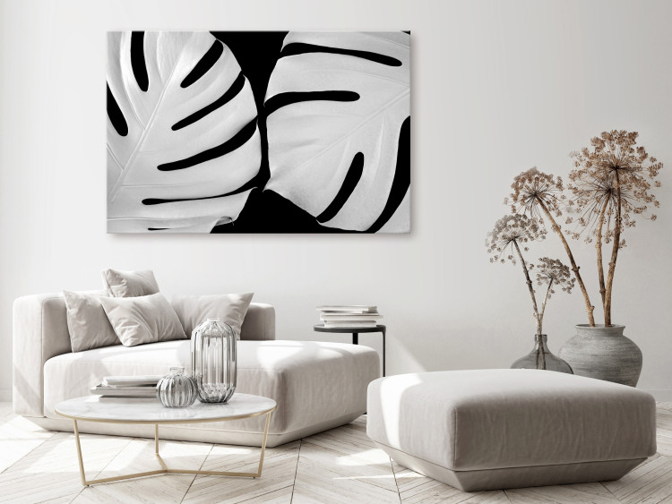 Canvas Print White Monstera (1-piece) Wide - landscape with black and white leaves 138753 additionalImage 3