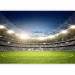 Wall Mural Football Stadium - Turf and Stands Before the Final Match 147653 additionalThumb 1