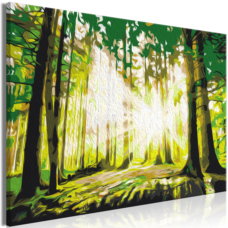 Paint by Number Kit Green Forest - Rays of the Sun Among the Forest Thicket 149753 additionalImage 4