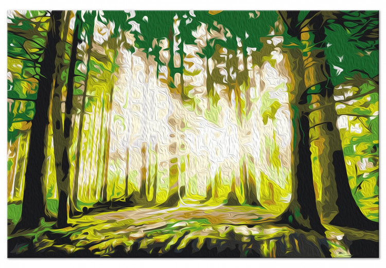 Paint by Number Kit Green Forest - Rays of the Sun Among the Forest Thicket 149753 additionalImage 6
