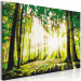 Paint by Number Kit Green Forest - Rays of the Sun Among the Forest Thicket 149753 additionalThumb 4