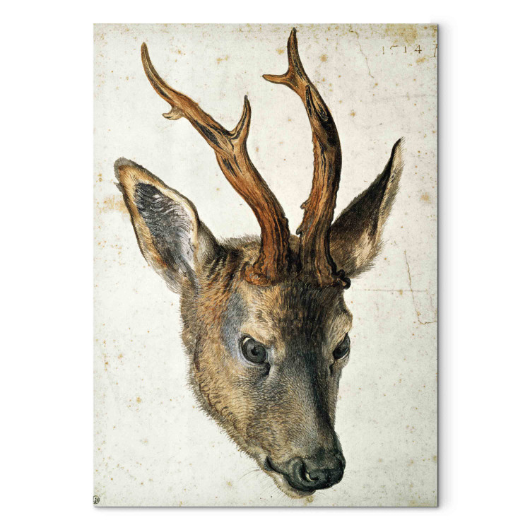 Reproduction Painting Head of a Roe Deer 157953